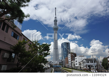 Scenery with Tokyo Sky Tree 11044324