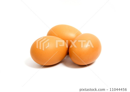 eggs 11044456