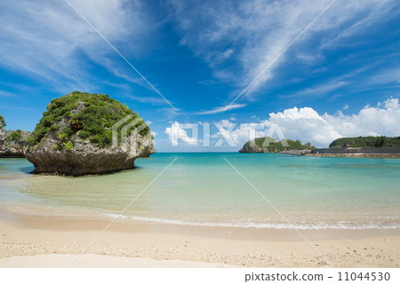 The sea of Okinawa 11044530