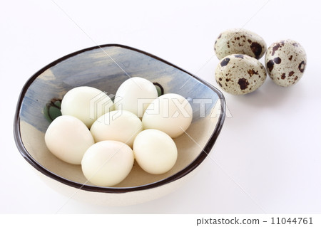 鵪鶉煮雞蛋 11044761