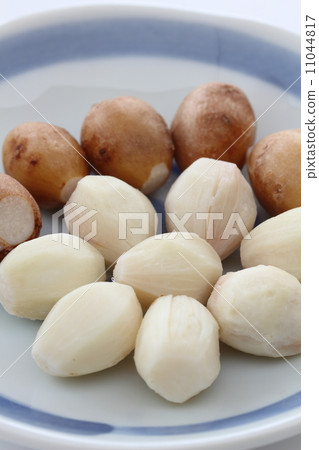 Boiled Apios Boiled Apios 11044817