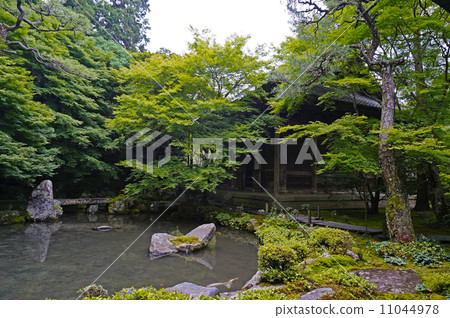 Lotus Temple garden Lotus Temple garden 11044978