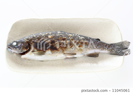 Salt-grilled rainbow trout 11045061
