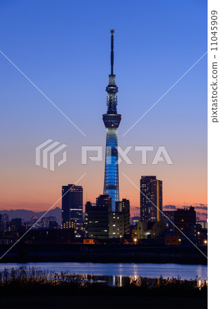 東京天空樹在黃昏 11045909