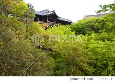 Tofukuji - Tsutenbashi 11045985