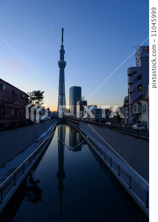 東京天空樹在黃昏 11045999