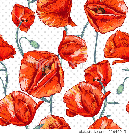 Seamless floral background with red poppy Seamless floral background with red poppy 11046045