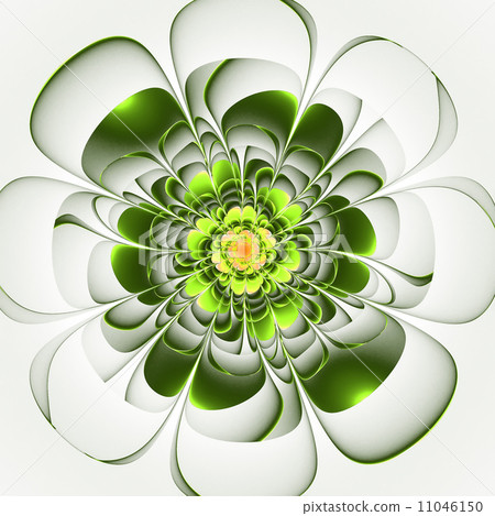 Beautiful green flower on white background. Computer generated g Beautiful green flower on white background. Computer generated g 11046150