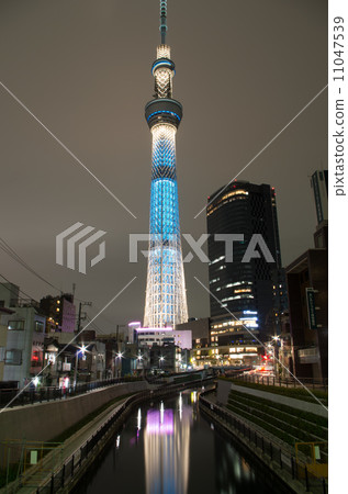 夜晚的天空樹 夜晚的天空樹 11047539