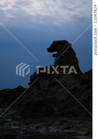 Godzilla Rock 11047624