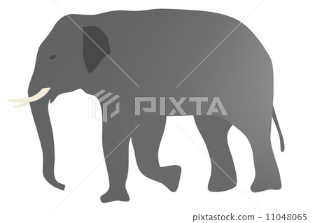 大象的例證面對 11048065