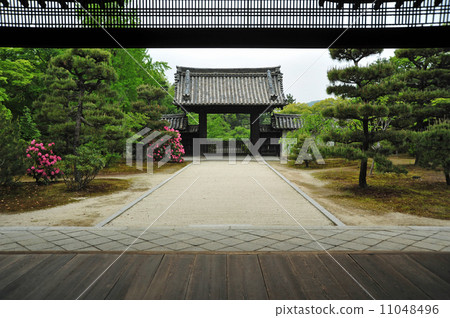 京都小池的製藥醫生 11048496