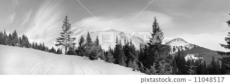 Mountain panorama Mountain panorama 11048517