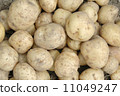 New potatoes 11049247