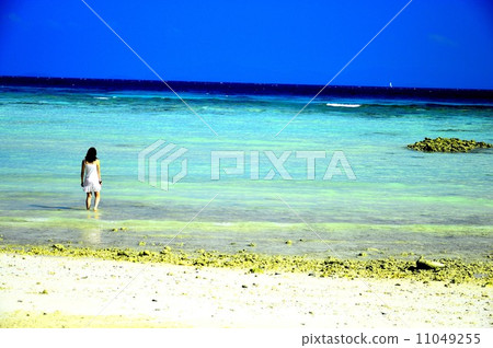 一個巨大的夏天 11049255