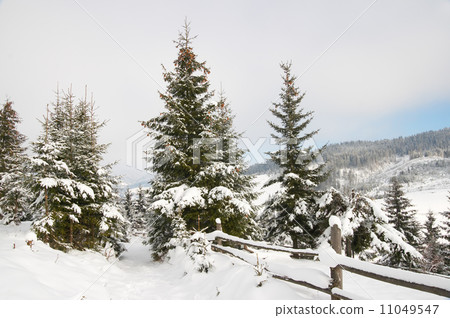 Winter landscape Winter landscape 11049547