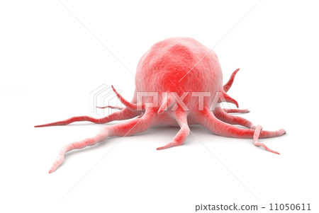 Cancer cell 11050611