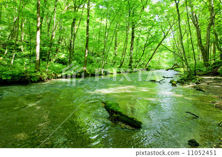 Oirase Iya 05 11052451