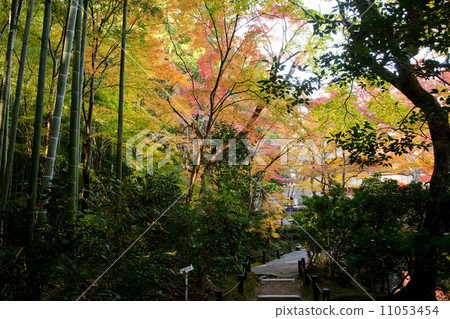 Enkoji Temple 05 Enkoji Temple 05 11053454