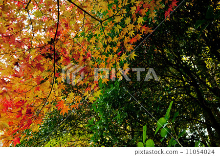 Shishido 05 11054024