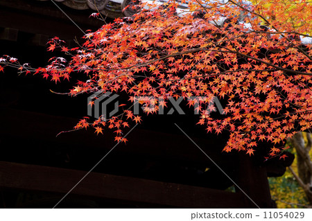 Enkoji 04 Enkoji 04 11054029