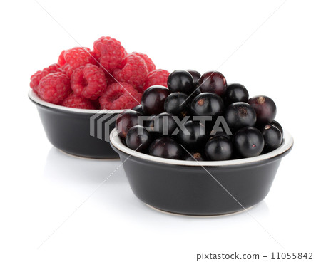 Black currant and raspberry Black currant and raspberry 11055842