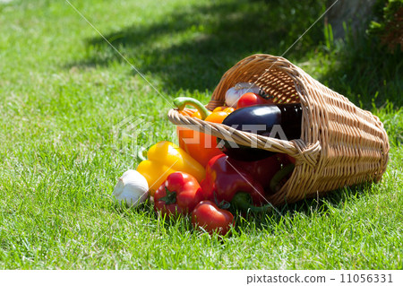 Fresh ripe vegetables in the basket Fresh ripe vegetables in the basket 11056331