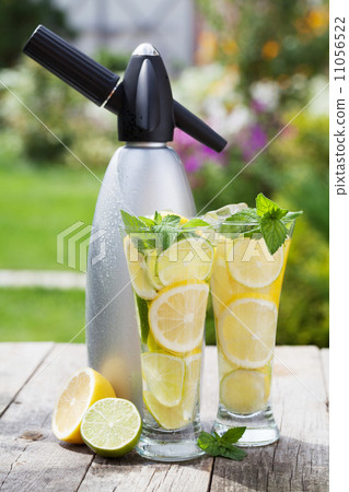 Homemade lemonade and siphon 11056522