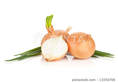 Fresh ripe onion 11056706