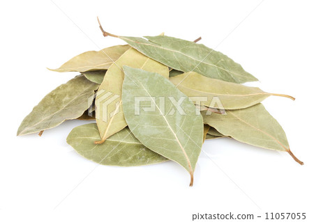 Aromatic bay leaves 11057055