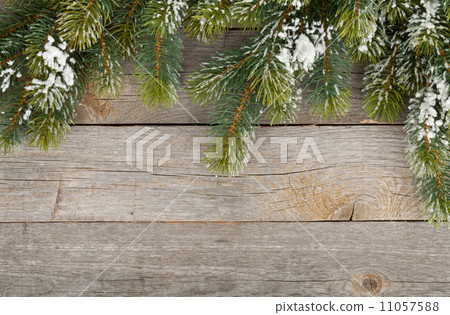 Christmas fir tree on wooden board background Christmas fir tree on wooden board background 11057588