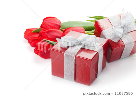 Fresh red tulips with gift boxes Fresh red tulips with gift boxes 11057590