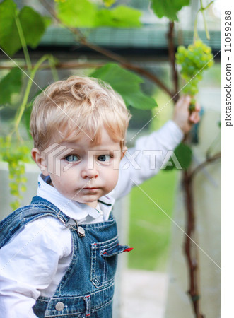 Little toddler boy eating grape Little toddler boy eating grape 11059288