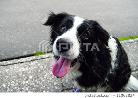 A smile A smile 11062824