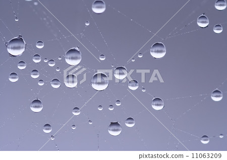 droplets on the cobweb 11063209