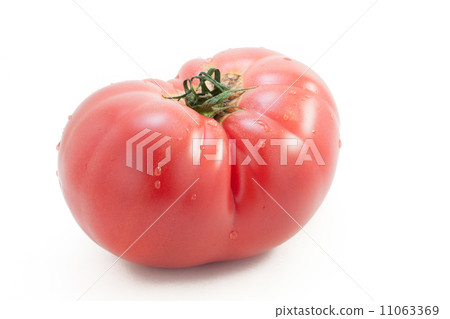 Large tomato Large tomato 11063369