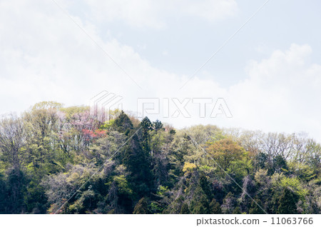 Spring mountains 11063766