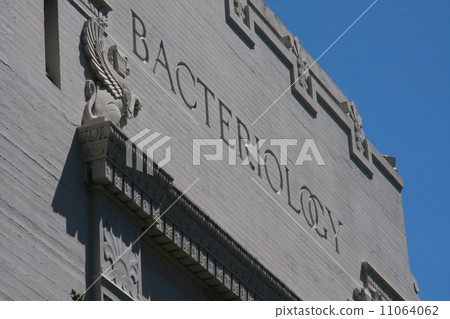 Building of microbiology 11064062