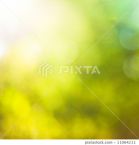 Nature bokeh Nature bokeh 11064211