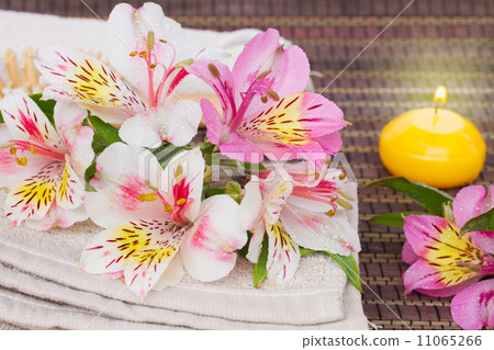 spa setting with alstroemeria flowers 11065266