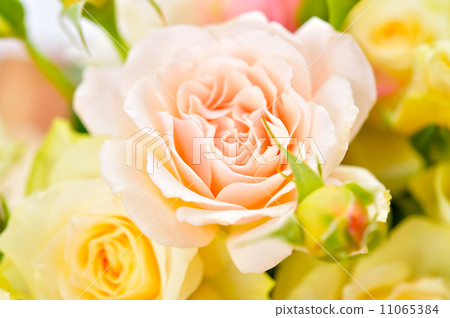 (* Retouch marks are left on the flower pieces) Rose flower arrangement. (* Retouch marks are left on the flower pieces) Rose flower arrangement. 11065384