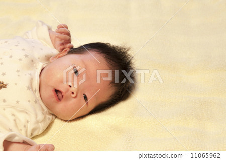 1 month old baby 11065962