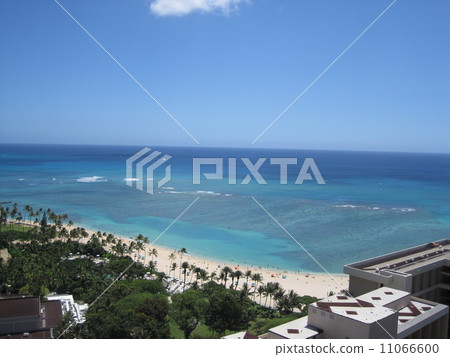 From the hotel of Hawaii From the hotel of Hawaii 11066600