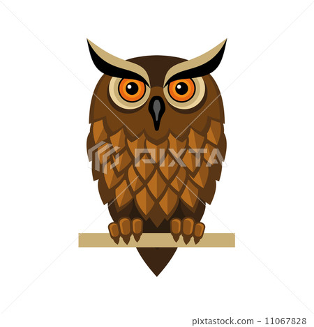 Owl Isolated on White. Vector Owl Isolated on White. Vector 11067828
