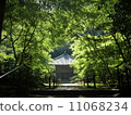 森林裡的寺廟（宮城縣，松島市） 11068234