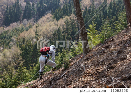 Tree planting festival Tree planting festival 11068368
