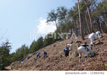 Planting trees (afforestation) 11068382