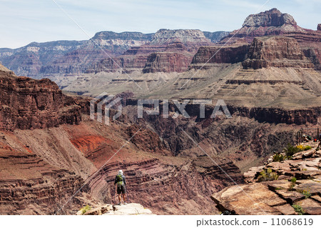 Grand Canyon Grand Canyon 11068619