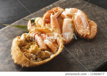 Hair crab Hair crab 11068677