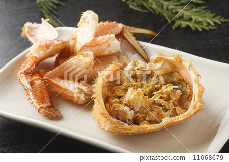 Hair crab 11068679